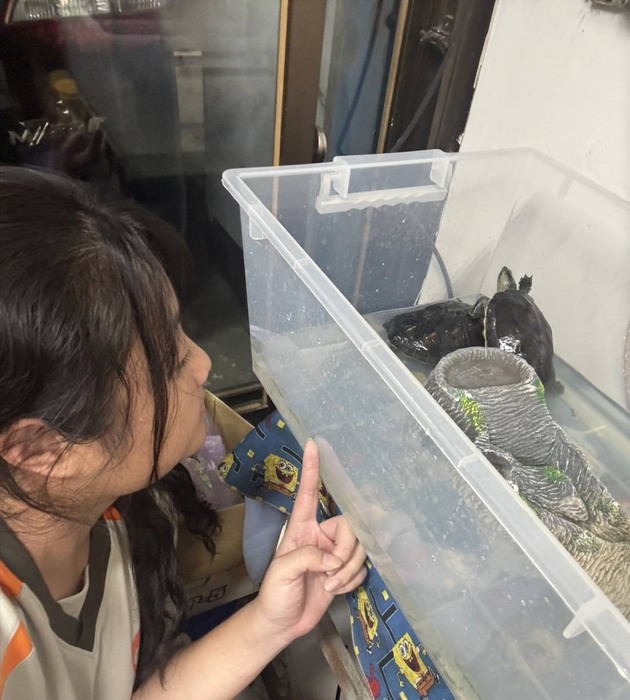 暨大附中高三梁靖苓透過創發專利科技希望協助改善飼養體驗圖片