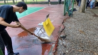 清除地面積水