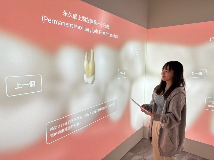 學生觸碰3D互動牆面即可探索牙齒細部構造