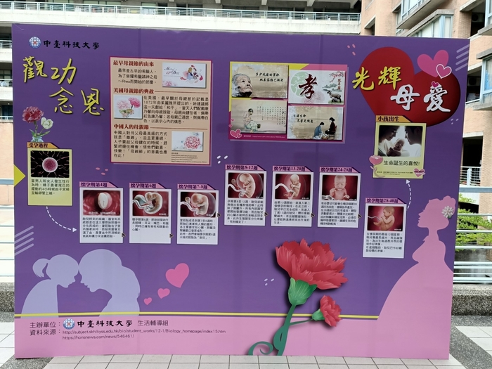 觀功念恩光輝母愛靜態展