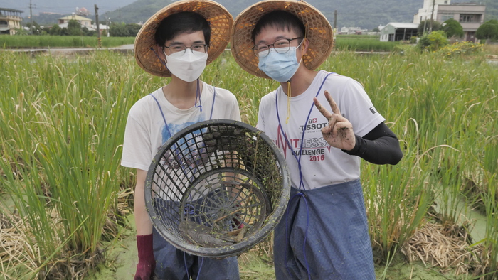 僑生在農田齊力抓魚