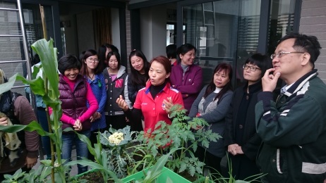 長輩們最愛的開心農場