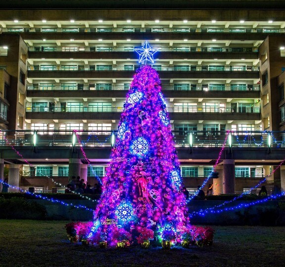 夜間聖誕樹
